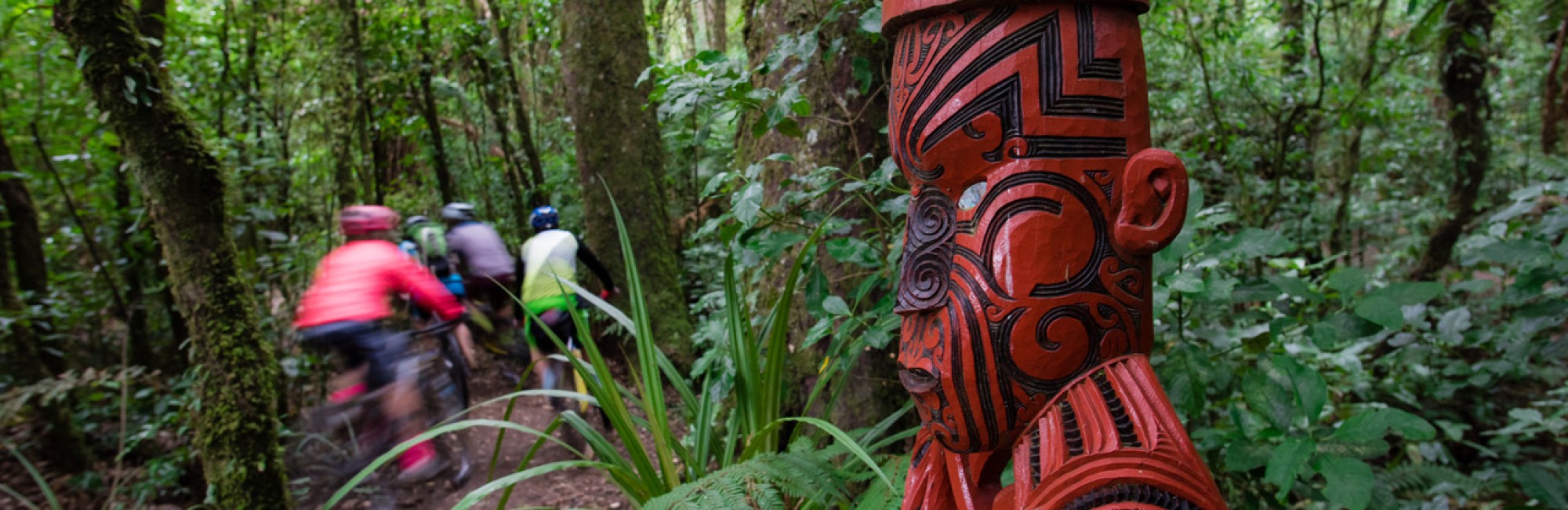 Timber Trail Pou at Pureora credit StudioZag v2.com