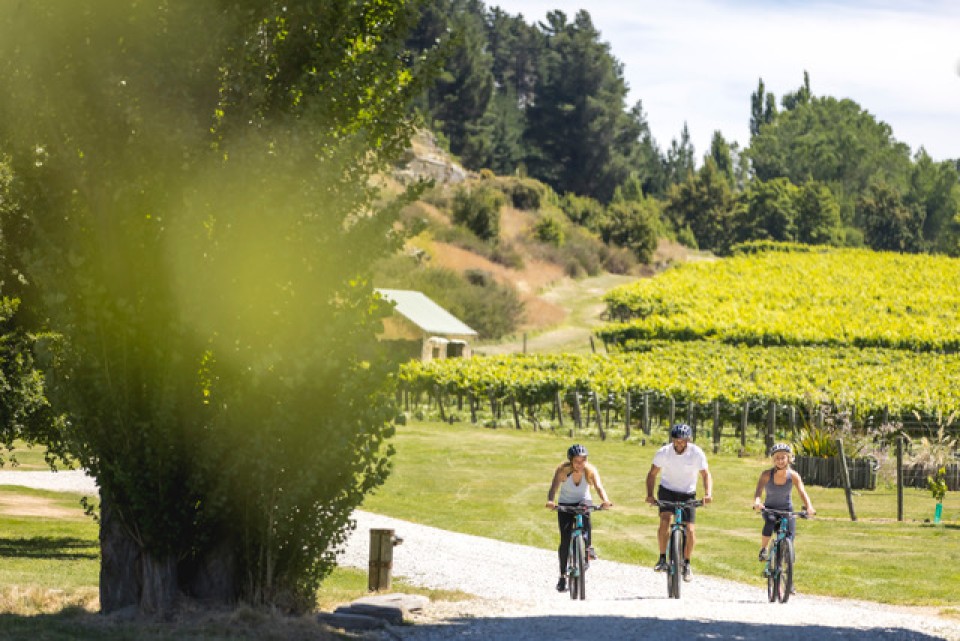 Queenstown Trail Biking Gibbston Wineries credit Destination Queenstown