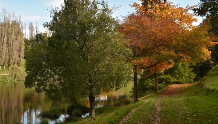 Hackfalls Arboretum 5