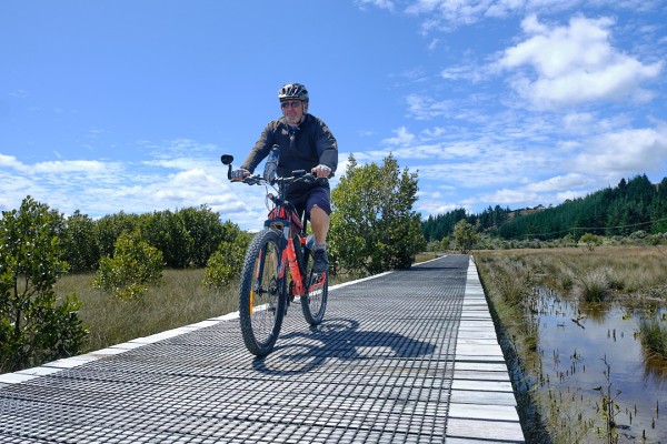 Horeke Boardwalk on Pou Herenga Tai Twin Coast Cycle Trail