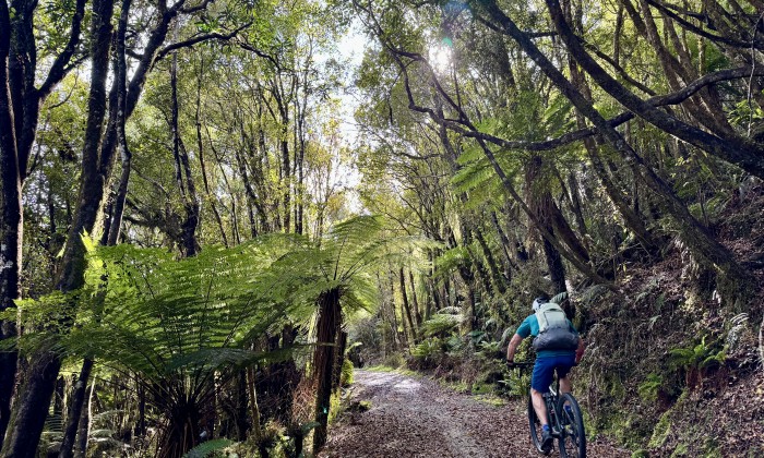 WCWT Photo Tracey Croke WCWT