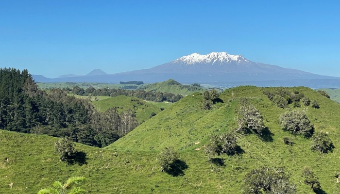 View from Waipuna Hill