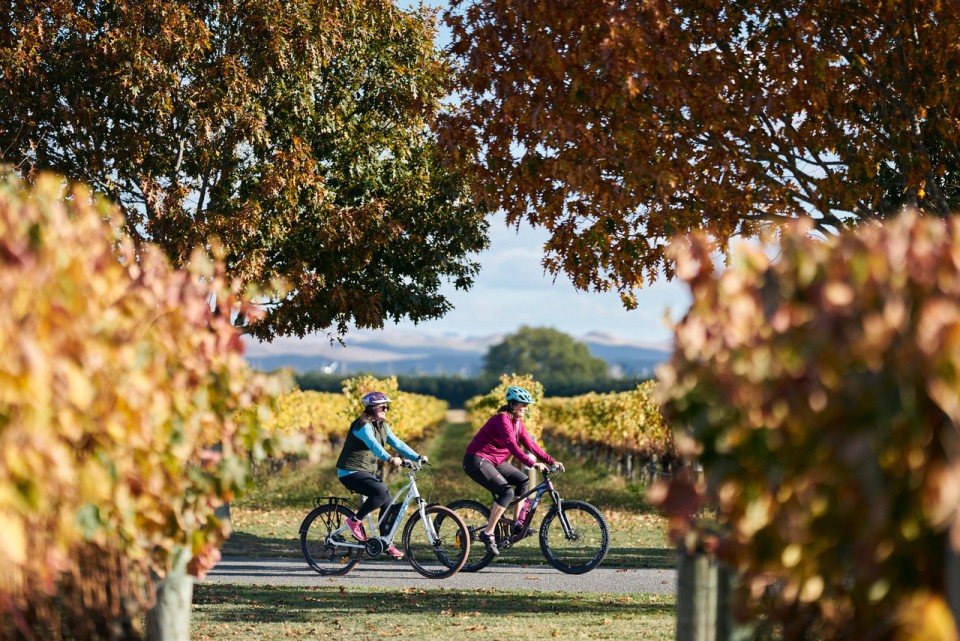 Hawke s Bay Trails Wineries Ride Villa Maria Gimblett Gravels 21 credit Hawke s Bay Trails