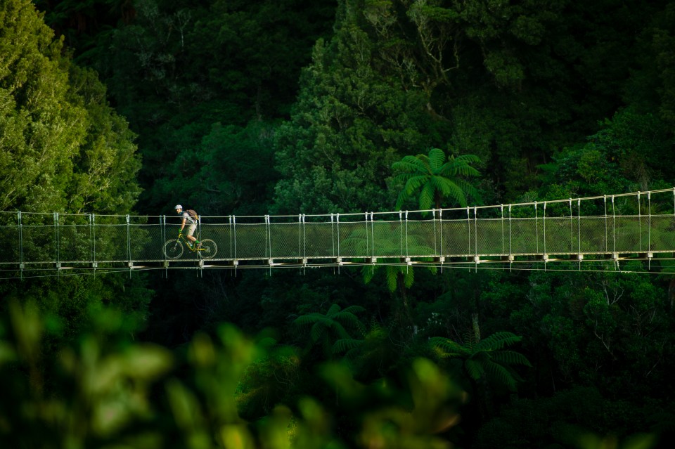 Timber Trail Mangatukutuku Bridge credit StudioZag.com