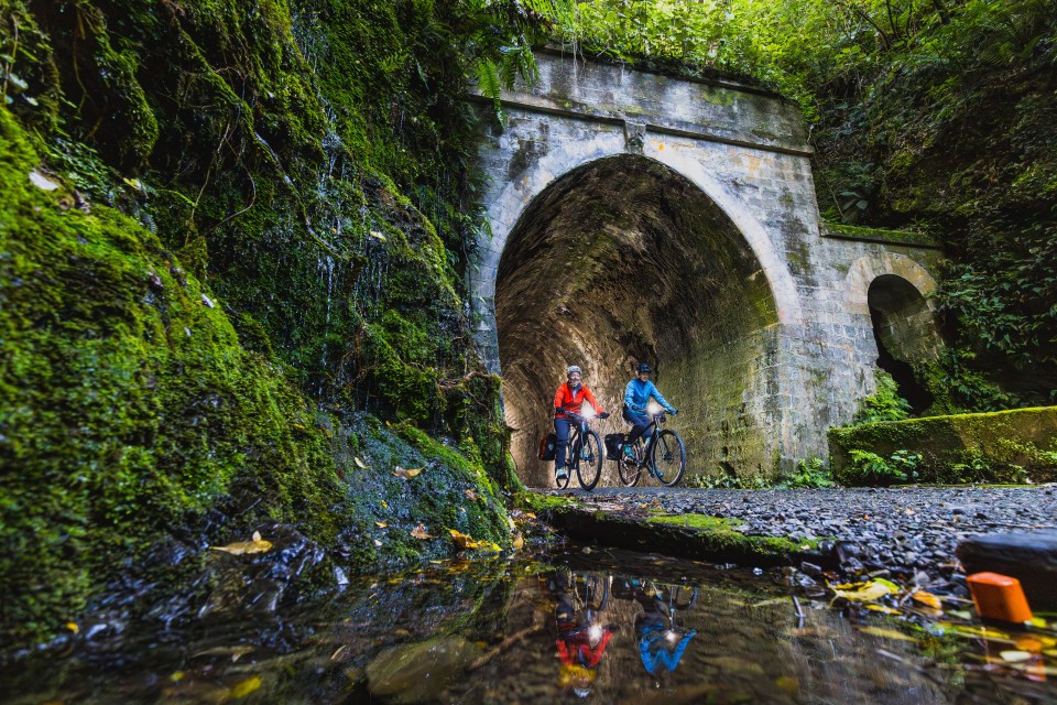 WNZ Rail trail Section Remutaka Cycle Trail 16032024 Wellington Regional Trails Credit Caleb Smith Photography ExpApr2039 2